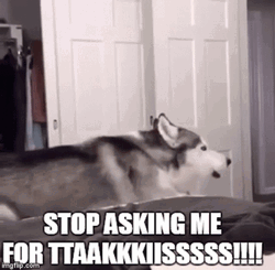 Wolf Howling Stop Asking Me For Takis GIF