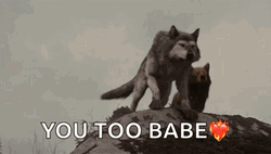 Wolf Howling You Too Babe GIF