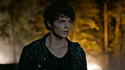 Wolf Pack Harlan Briggs GIF