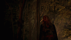 Wolf Pack Luna Looking Around GIF