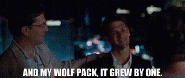 Wolf Pack The Hangover GIF