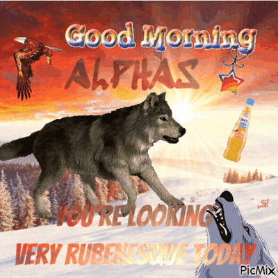 Wolf Saying Good Morning Alphas GIF