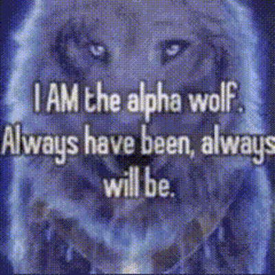 Wolf Saying I Am The Alpha Wolf Always Have Been Always Will Be GIF