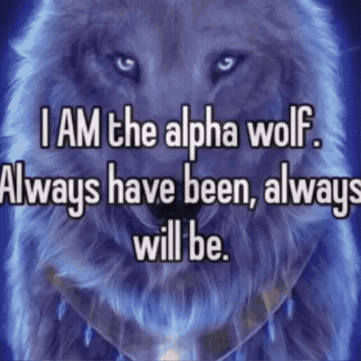 Wolf Saying I Am The Alpha Wolf Always Have Been Always Will Be GIF