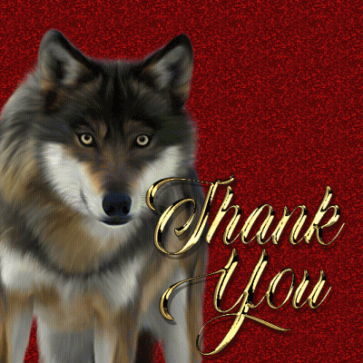 Wolf Saying Thank You GIF