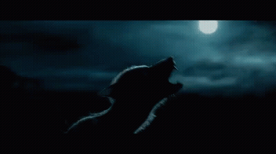 Wolf Silhouette Howling At Moon GIF