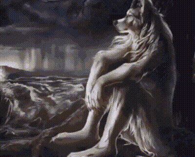 Wolf Sitting On Bed Looking Out Window GIF