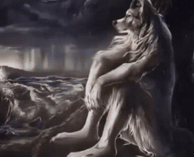 Wolf Sitting On Rock Near Water GIF