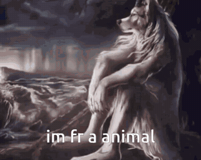 Wolf Sitting On Rock Saying Im Fra Animal GIF
