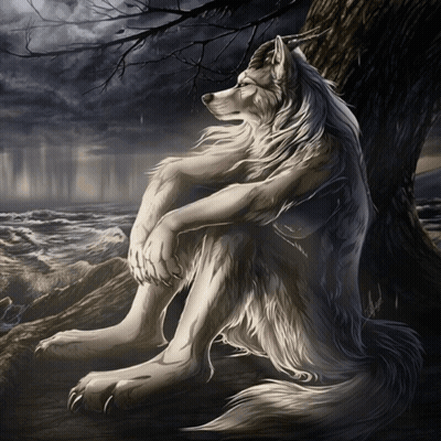 Wolf Sitting Under Tree Near Ocean GIF