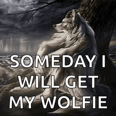 Wolf Sitting Under Tree Saying Someday I Will Get My Wolfie GIF