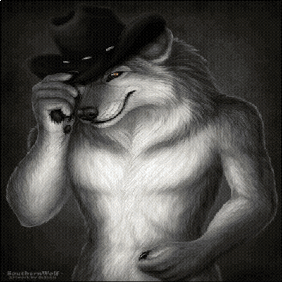 Wolf Wearing Cowboy Hat GIF