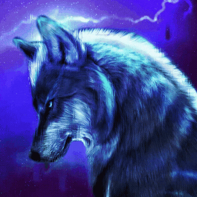Wolf With Blue Eyes And Blue Background GIF