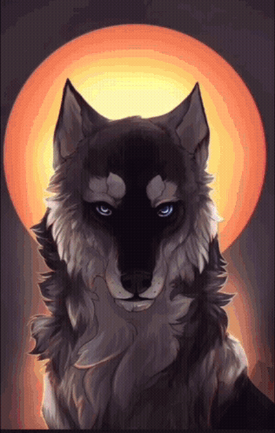 Wolf With Blue Eyes In Front Of Orange Sun GIF