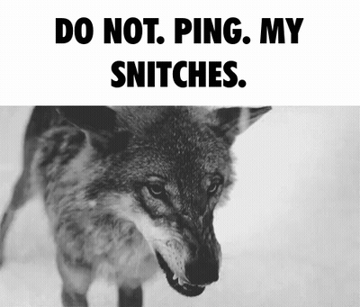 Wolf With Do Not Ping My Snitches GIF