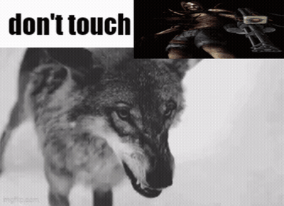 Wolf With Don't Touch Text GIF