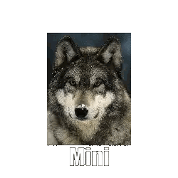 Wolf With Mini Text Sticker