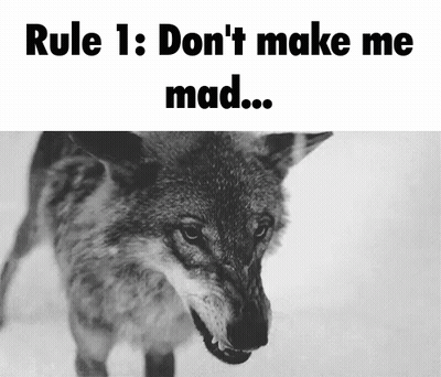 Wolf With Rule 1 Don't Make Me Mad GIF