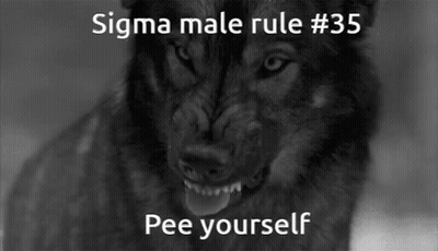 Wolf With Sigma Male Rule 35 Pee Yourself GIF