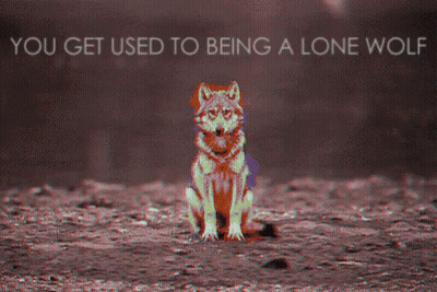Wolf You Get Used To Being A Lone Wolf GIF
