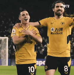 Wolverhampton Wanderers Joe Hodge Punching Air GIF