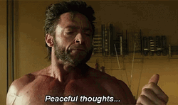 Wolverine Calm Peaceful Thoughts GIF