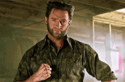 Wolverine Hugh Jackman Claw GIF