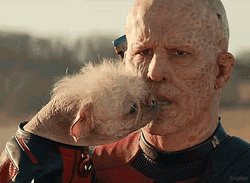Wolverine Kissing Dogpool GIF
