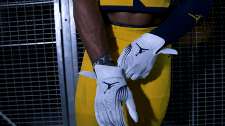 Wolverine Michigan Football Gloves Fixing GIF