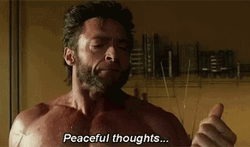 Wolverine Woosah Peaceful Thoughts GIF