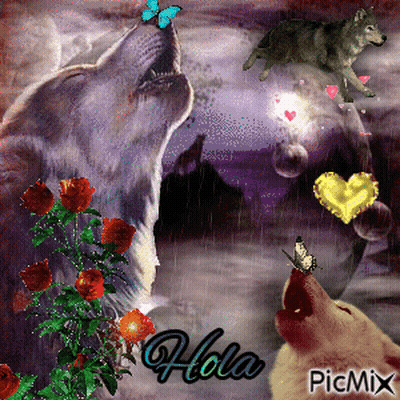 Wolves Howling Hola GIF