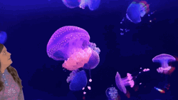 Woman Amazed At Jellyfish