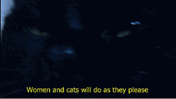 Woman And Cats Facts GIF