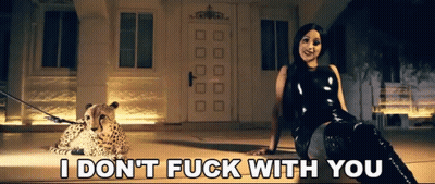 Woman And Cheetah On Leash I Don't Fuck With You GIF