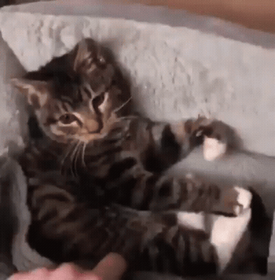 Woman Applying Lipstick In Dark Room GIF