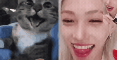 Woman Applying Makeup To Cat GIF