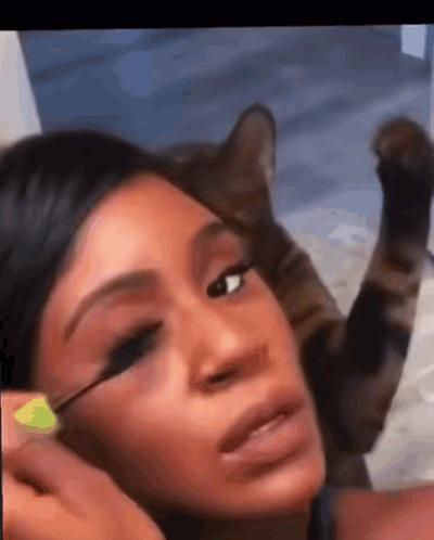 Woman Applying Mascara With Cat On Face GIF
