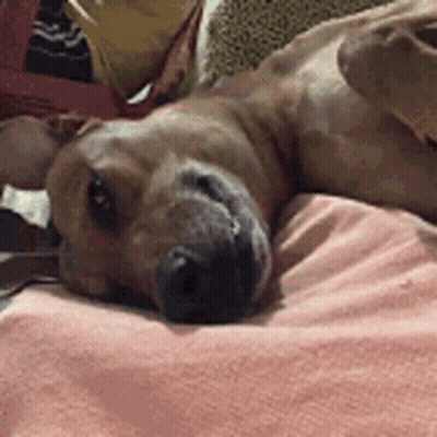 Woman Asking To Ride Back GIF