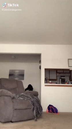 Woman Blouse Transition  GIF