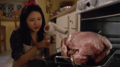 Woman Blow Drying Turkey In Oven GIF