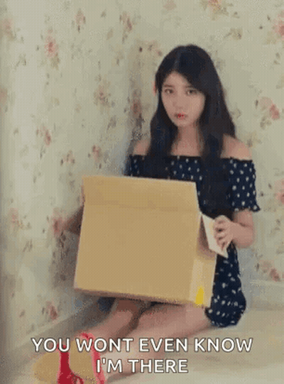 Woman Box You Won't Even Know I'm There GIF