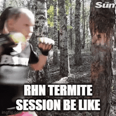 Woman Boxing In Woods Rhn Termite Session GIF