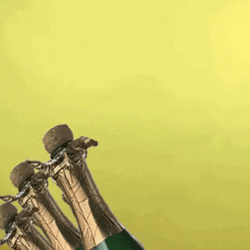 Woman Celebrating With Prosecco GIF
