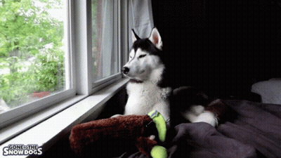 Woman Close Up The Empire Time Has Come GIF