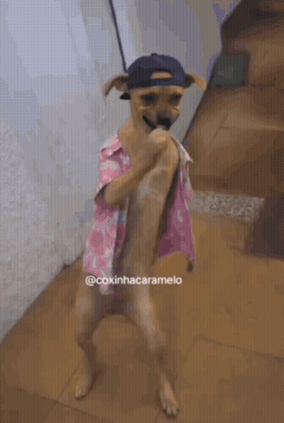 Woman Close-Up With Man Behind GIF