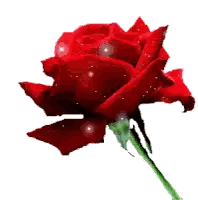 Woman Coffee Morning Guy Have The Best Day Cherry Sticker