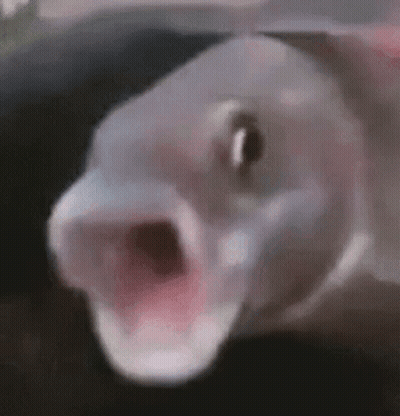 Woman Covering Face Saying Diva GIF