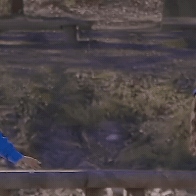 Woman Crawling Over Wooden Fence With Question Mark GIF