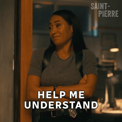 Woman Crossed Arms Help Me Understand GIF