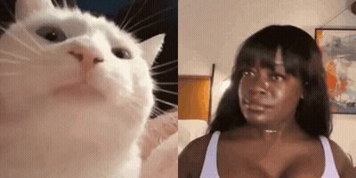 Woman Crying Next To Cat Looking At Her GIF